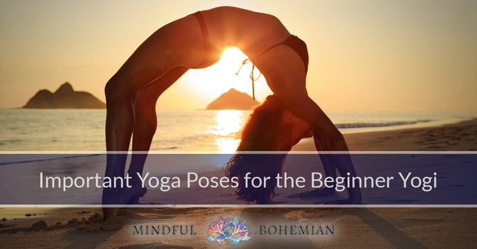 Important Yoga Poses For The Beginner Yogi