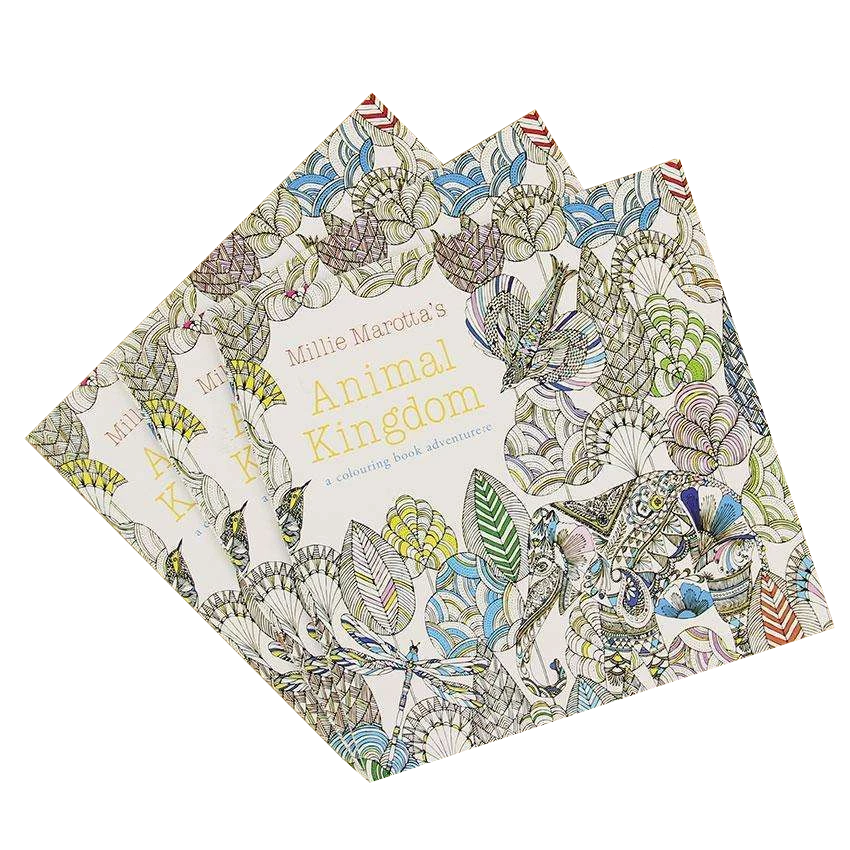 Mindfulness Coloring Book