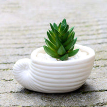 6pcs/set Mini White Succulent Holder -  Free People - Bohochic - Music Festival