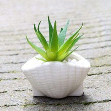6pcs/set Mini White Succulent Holder -  Free People - Bohochic - Music Festival