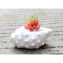 6pcs/set Mini White Succulent Holder -  Free People - Bohochic - Music Festival