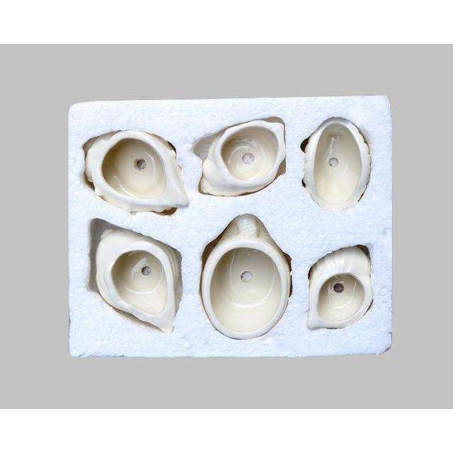6pcs/set Mini White Succulent Holder -  Free People - Bohochic - Music Festival