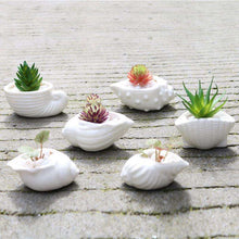 6pcs/set Mini White Succulent Holder -  Free People - Bohochic - Music Festival