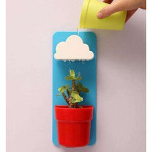 Rainy Pot (Self Watering Indoor Garden),Home & Garden,[product_vender],Mindful Bohemian