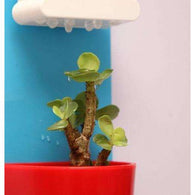 Rainy Pot (Self Watering Indoor Garden),Home & Garden,[product_vender],Mindful Bohemian