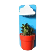 Rainy Pot (Self Watering Indoor Garden)
