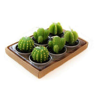 Succulent Cactus Candles,zen den,[product_vender],Mindful Bohemian